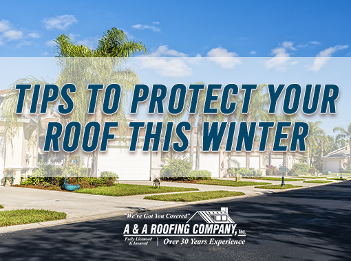 10 tips to protect your florida roof this winter